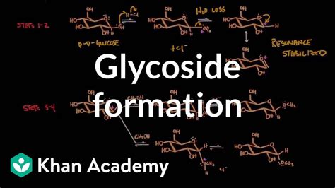 Carbohydrate - Glycoside formation hydrolysis | Chemical processes ...