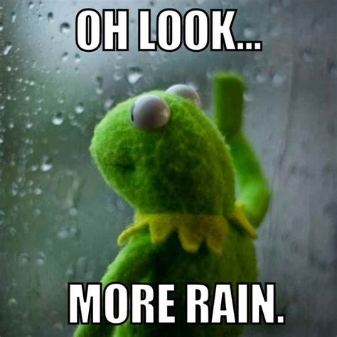 35 Funny Rain Memes And Images For Rainy Days | Funny rain quotes ...