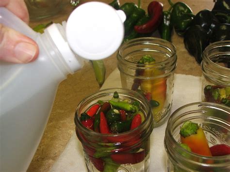 Canning Granny: Hot Pepper Vinegar