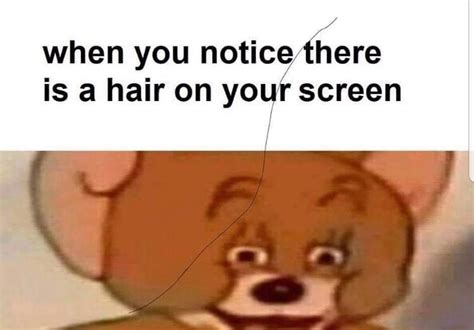 These memes | /r/MildlyInfuriating | Mildly Infuriating | Know Your Meme