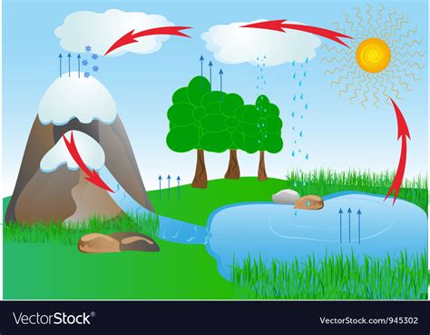 Water cycle Royalty Free Vector Image - VectorStock