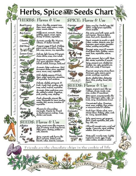 Digital Download: Herbs, Spice & Seeds Chart for Kitchen - Etsy ...