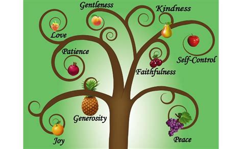 Here’s How To Develop the Fruit of the Spirit – Christianity FAQ