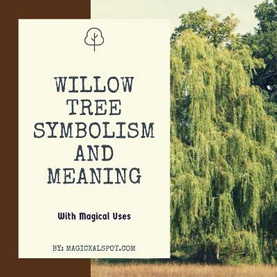 Willow Tree Meaning, Willow Tree Angels, Weeping Willow Tattoo, Willow ...