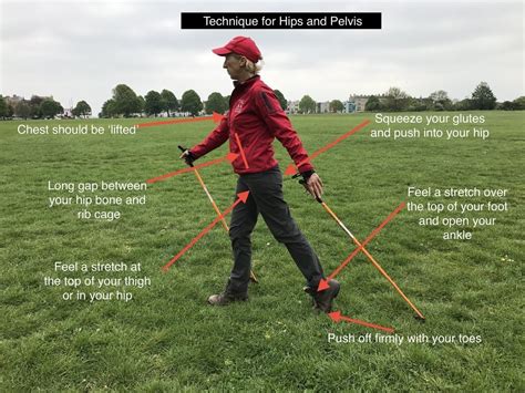 Technique focus: hips and pelvis - Bristol Nordic Walking