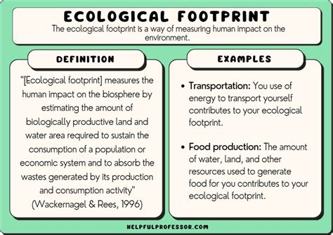 10 Ecological Footprint Examples (2024)