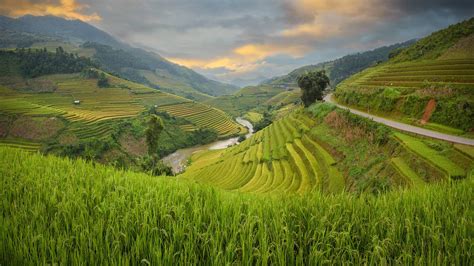 A practical guide to visiting the Banaue Rice Terraces - Bookaway