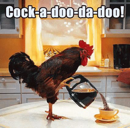 Cock A Doo Da Doo GIF - Rooster Morning WakeUp - Discover & Share GIFs