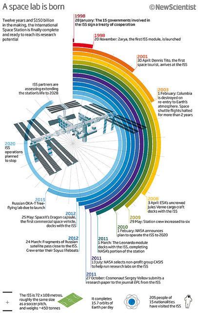 16 Best Timeline images | Timeline, Infographic, Timeline design