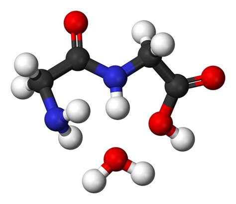 Structure Of Dipeptide