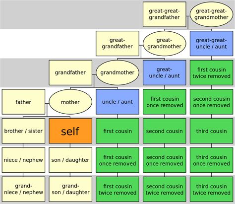 Family Tree Of Cousins And Removed Cousins - Image to u