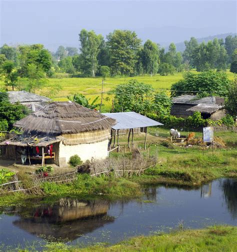 A traditional Tharu village in the Tarai region of Nepal. The Tarai was ...