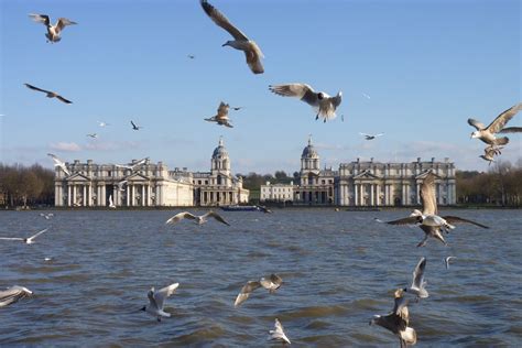 The view Canaletto painted 1750-52 though with no gulls:) #Greenwich # ...