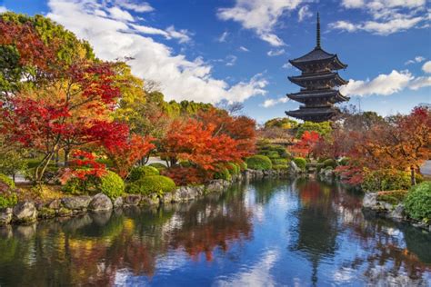 Toji Temple in Kyoto: Travel Guide - Japan Rail Pass