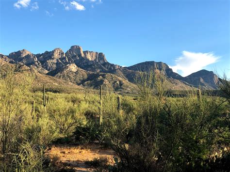 Catalina State Park - Go Wandering