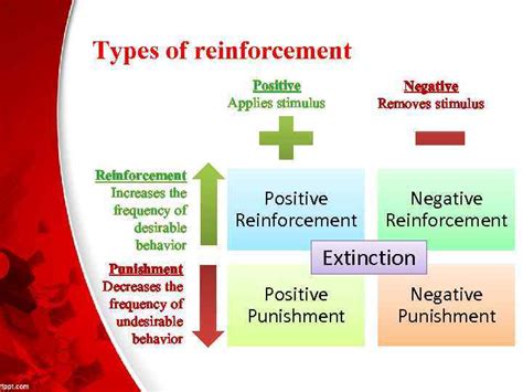 REINFORCEMENT THEORY Ospanova Anar Pyak Olga Rimzhanova Azhar