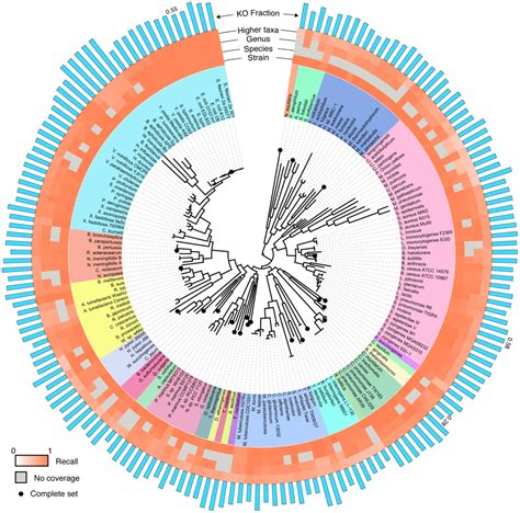 Antibiotic resistance genes in “black gold” – microBEnet: the ...