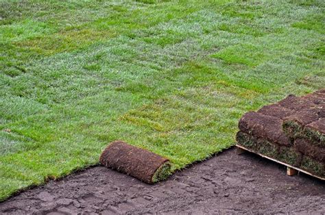 How Many Square Feet Is A Pallet Of Sod? | Obsessed Lawn