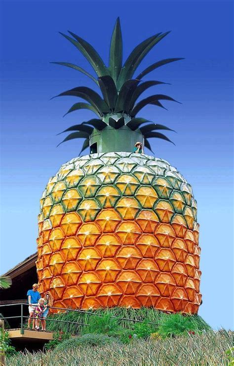 giant pineapple (With images) | Big pineapple, Australia travel ...