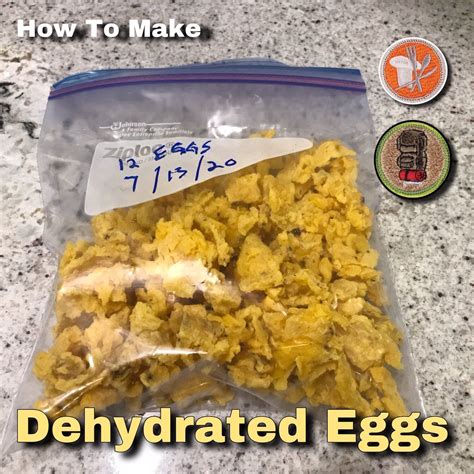 How To Make Dehydrated Eggs — ScouterLife | Dehydrator recipes ...