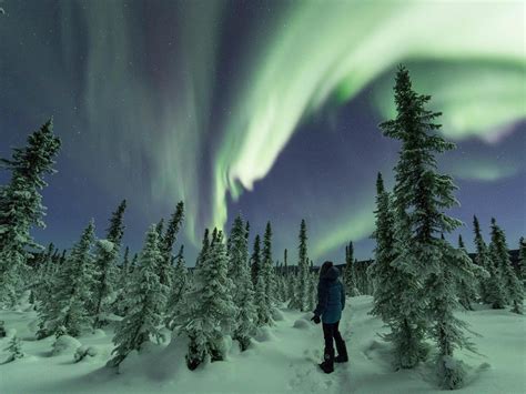 Unparalleled Winter Experiences in the Fairbanks Region | Travel Alaska