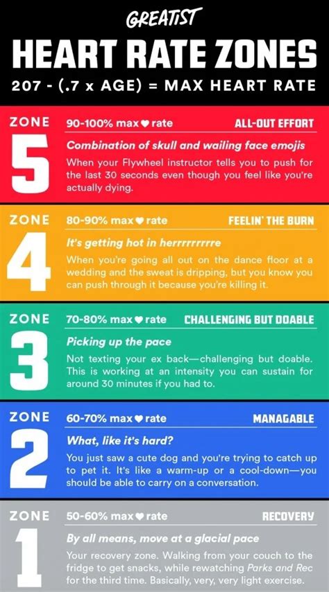 What Should Your Pulse Rate Be When You Exercise - Exercise Poster