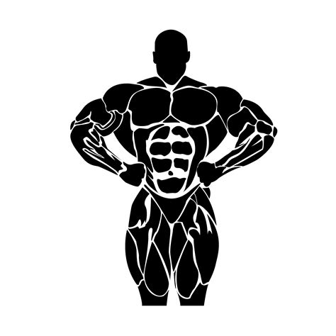 bodybuilding concept, vector | Pre-Designed Illustrator Graphics ...