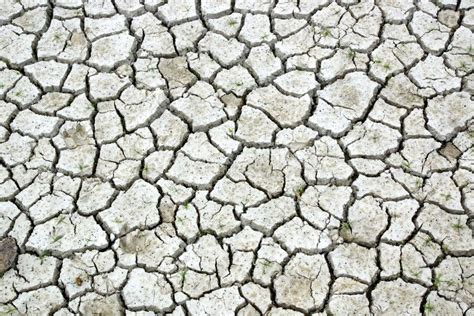 Dry Cracked Earth During Drought. Stock Photo - Image of desert, plant ...