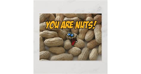 you are nuts! postcard | Zazzle