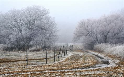 🔥 [50+] Snowy Fields Wallpapers | WallpaperSafari