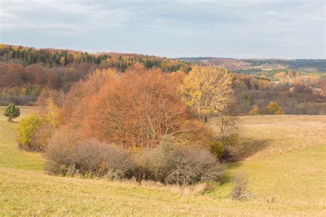 Carpathian's Fall colors. on Behance