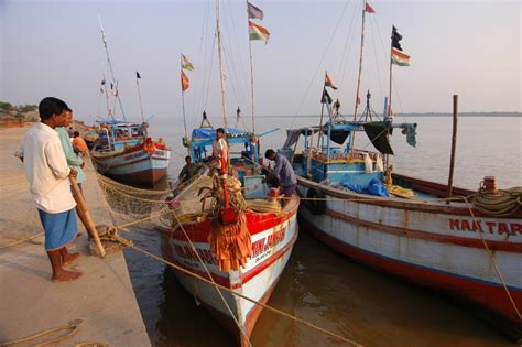 Dhamra Port Project, India (2005-2010) – Marine Research Foundation