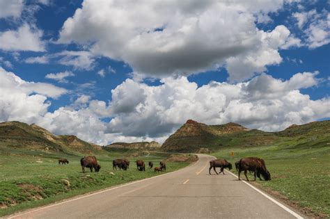 Theodore Roosevelt National Park, North Dakota - The National Parks ...