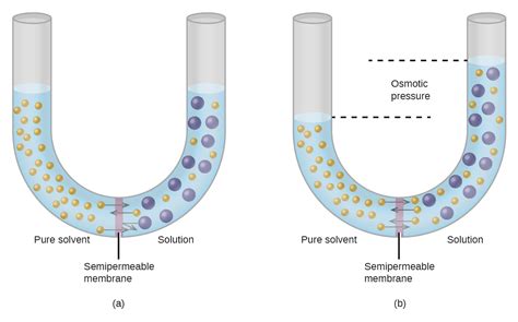 How A Permeate Pump Works With A Reverse Osmosis System – Useful ...