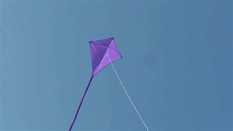 29 in. purple diamond kite - YouTube