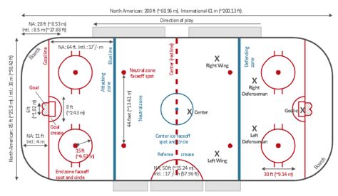 Floor Hockey Court Dimensions | Viewfloor.co