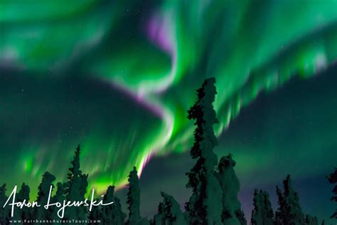 tours - Fairbanks Aurora Tours - Northern Lights Tours in Alaska