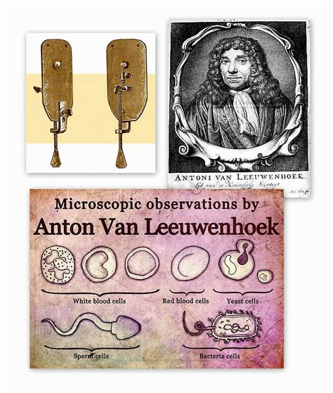 Living the Dreamsicle: September 17 - Anton van Leeuwenhoek and bacteria