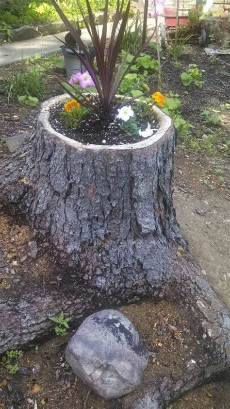 How to Make Your Own Tree Stump Planter – DIY projects for everyone!