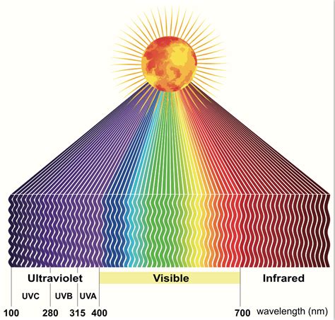 Infrared Color Spectrum