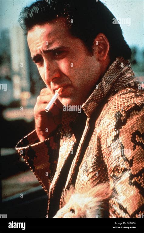 Wild at Heart / Nicolas Cage Stock Photo - Alamy