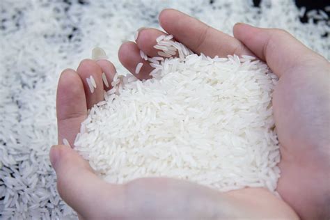 6 Types Of Vietnam Fragrant Rice And How To Import