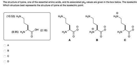 SOLVED: The structure of lysine, one of the essential amino acids, and ...