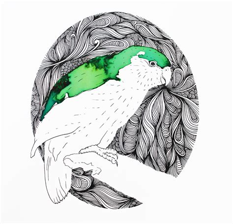 Kakapo Print