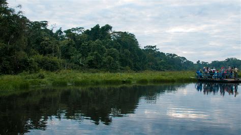 Madre de Dios - Peru, where you feel the biodiversity