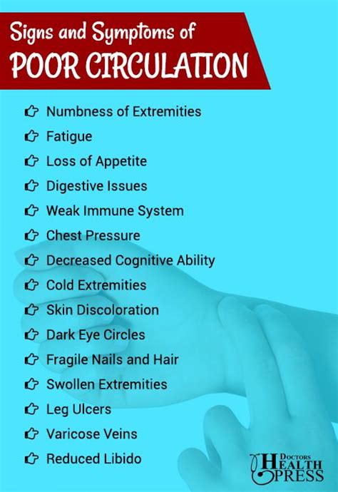 What Causes Poor Circulation In Legs - todalaactualidadmotor