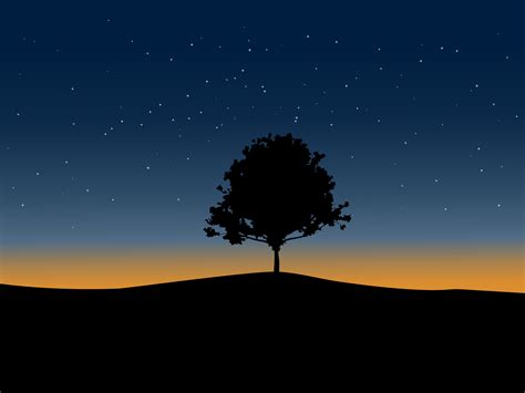 Night Sky and Tree Silhouette 3642052 Vector Art at Vecteezy