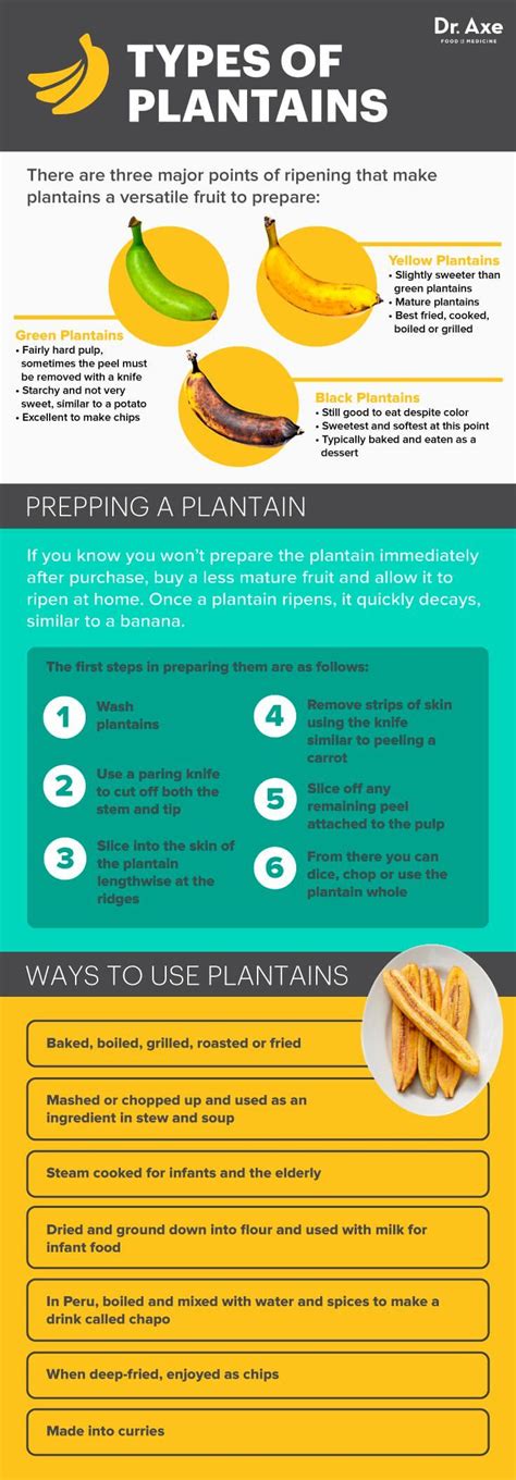 Plantains Nutrition, Benefits, Recipes and How to Prepare - Dr. Axe ...