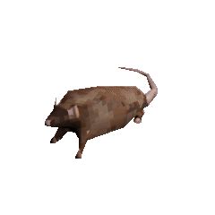 Optimized Spinning Rat | Horizontally Spinning Rat | Know Your Meme