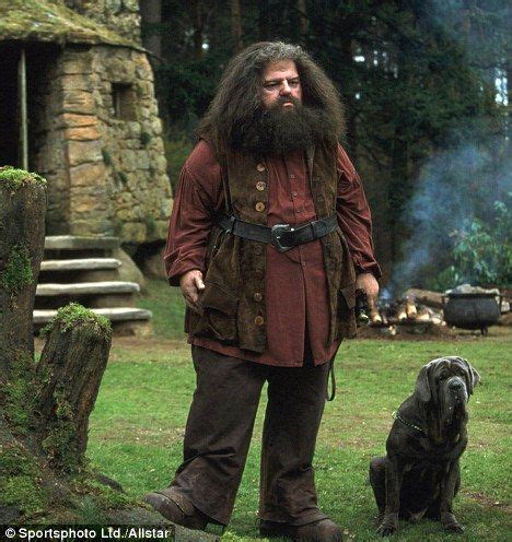 Fang is an over-sized boarhound dog, and one of Rubeus Hagrid's pets ...